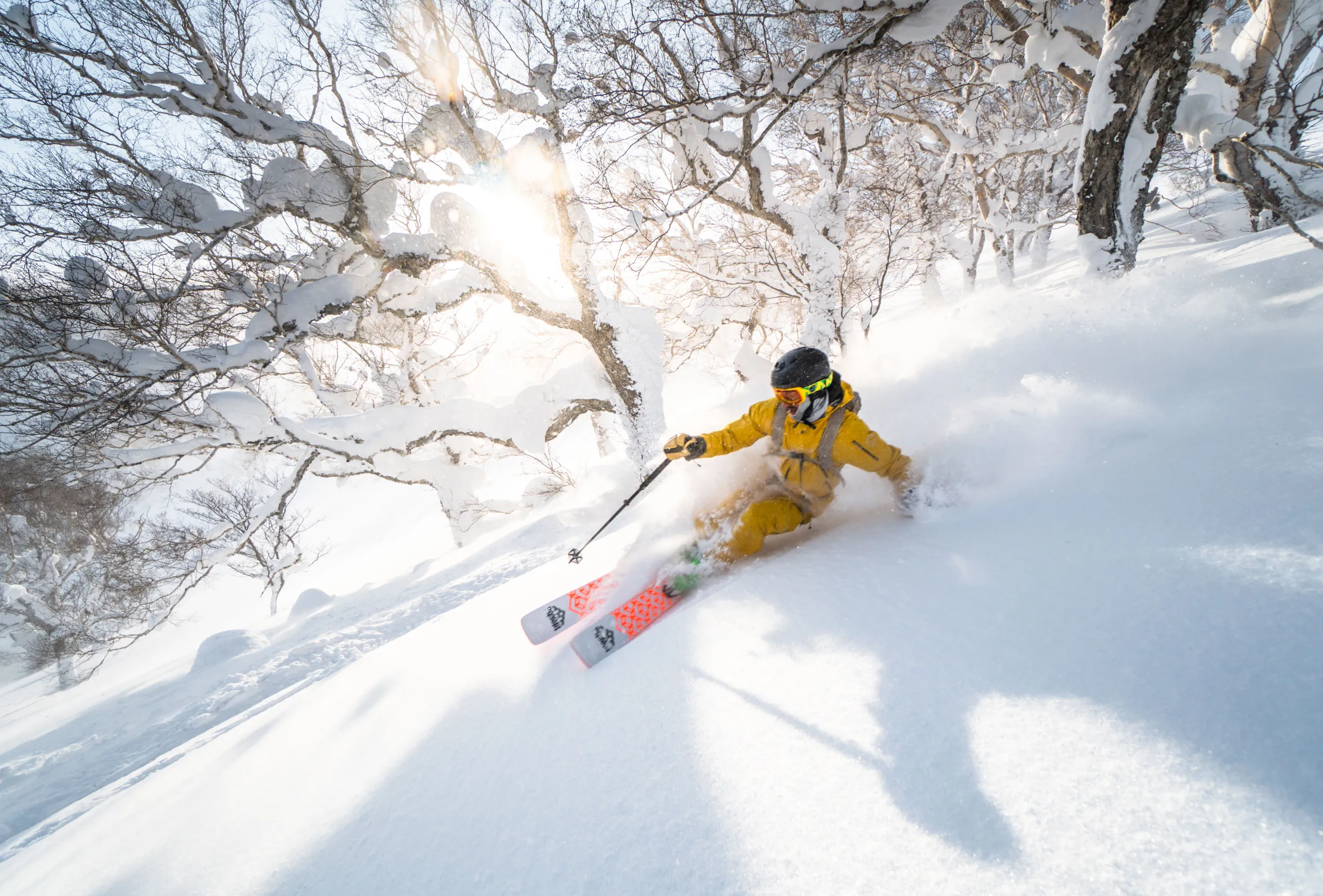 IWANAI RESORT 写真スライド